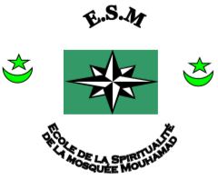 logo esm